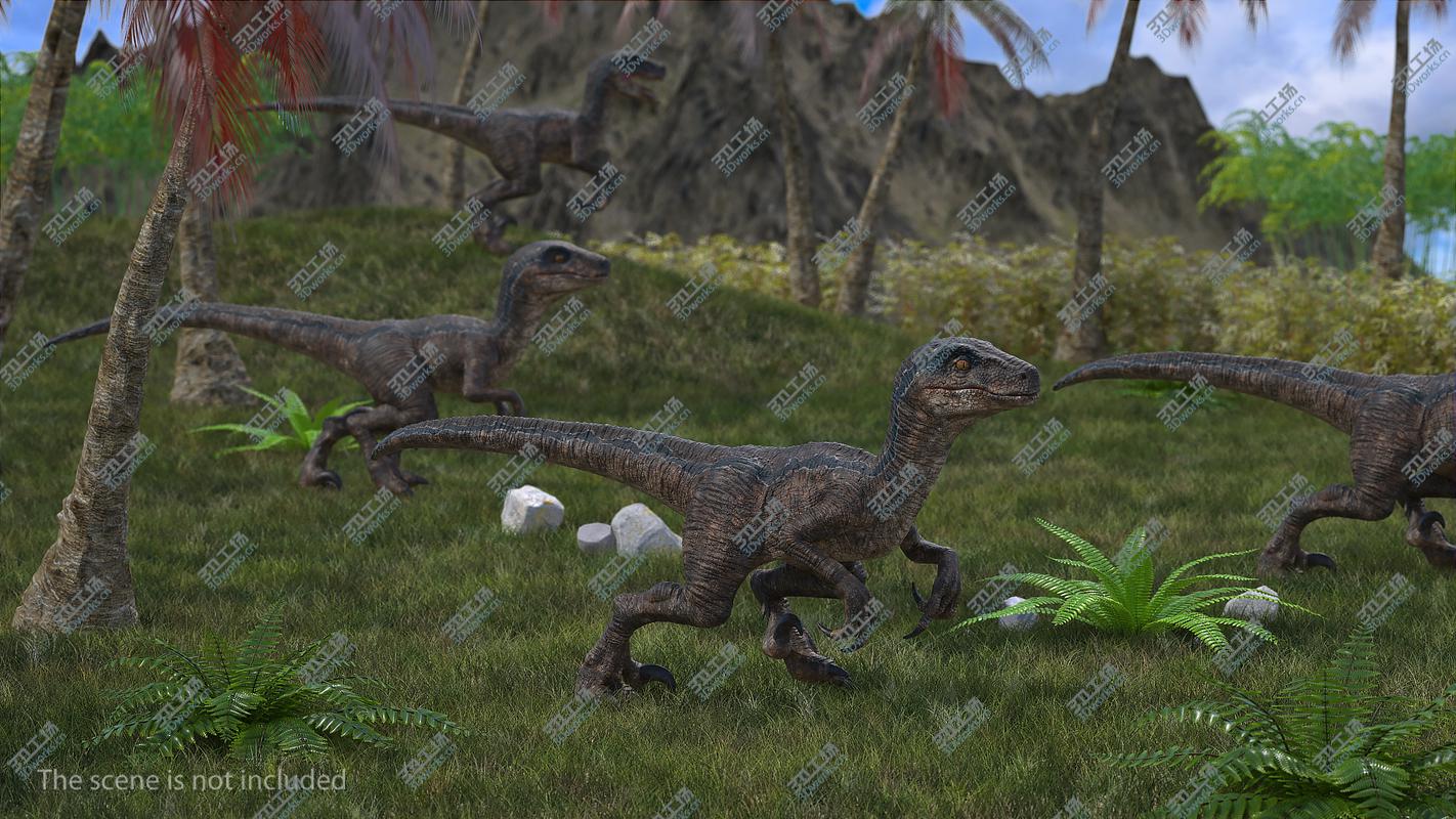 images/goods_img/2021040161/3D Velociraptor Walking Pose 3D Model/5.jpg
